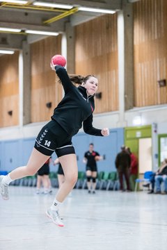 Bild 134 - F HSG Kremperheide/Muensterdorf - TSV SR Schuelp : Ergebnis: 19:14